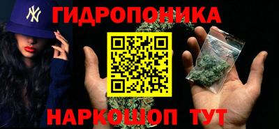 крисы Кимры