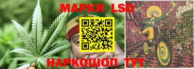 ALPHA PVP Кингисепп